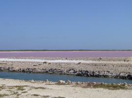 pink salt lake.JPG