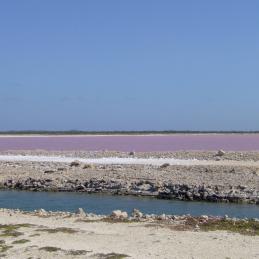 pink salt lake.JPG
